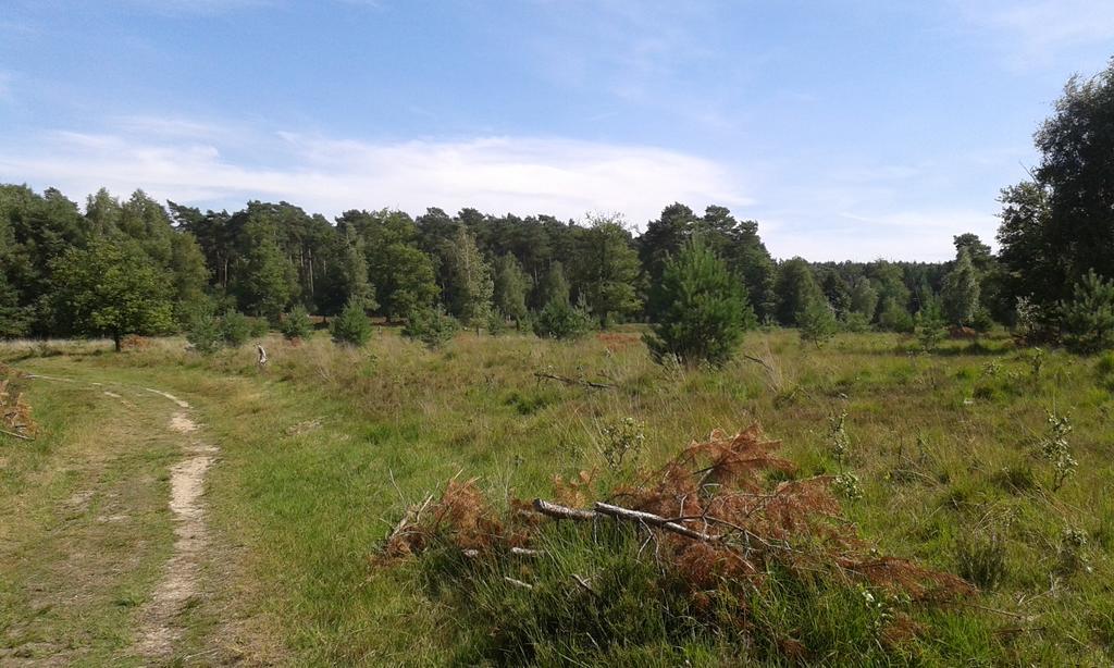 Burgblick Brueggen